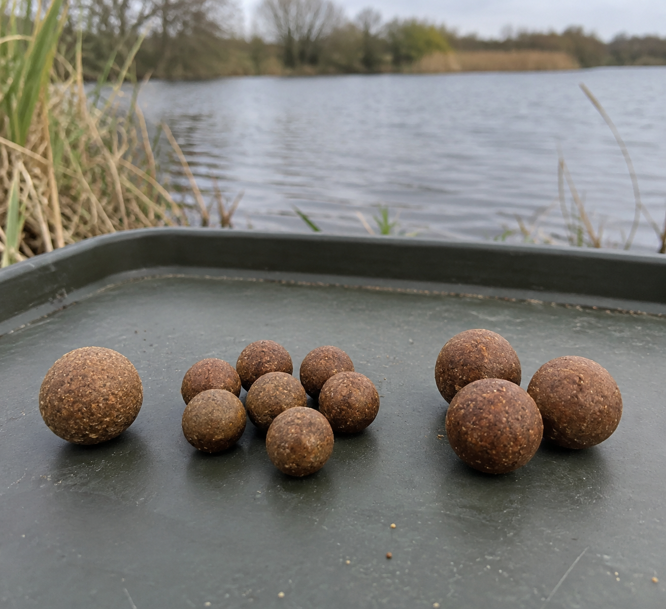 Brown boilies in three sizes on a plain tray, with one large boilie beside eight small boilies.